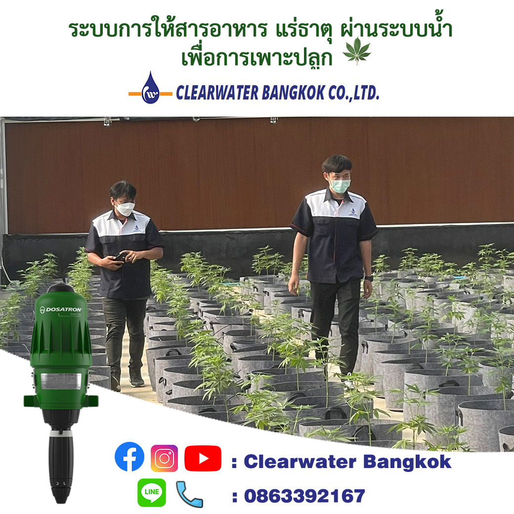 DOSATRON ในระบบ Green Houses