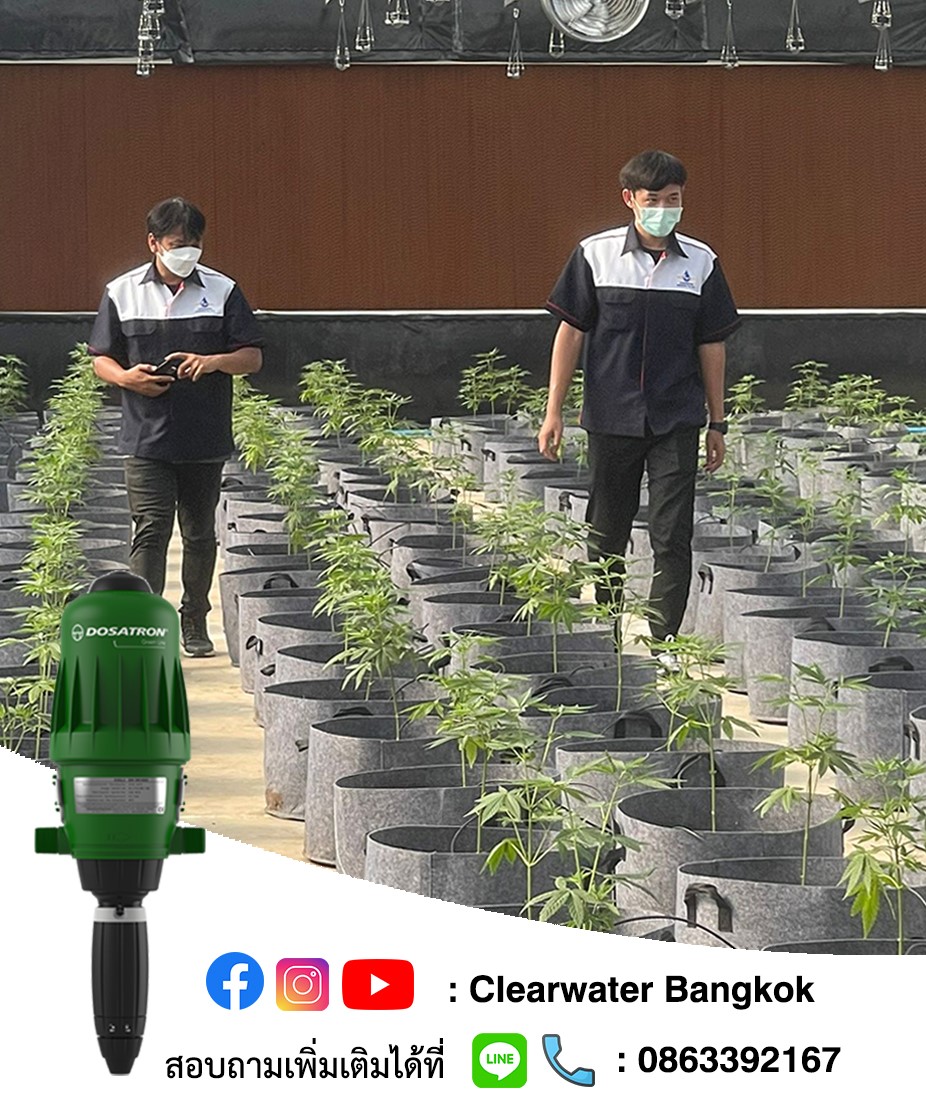 DOSATRON ในระบบ Green Houses