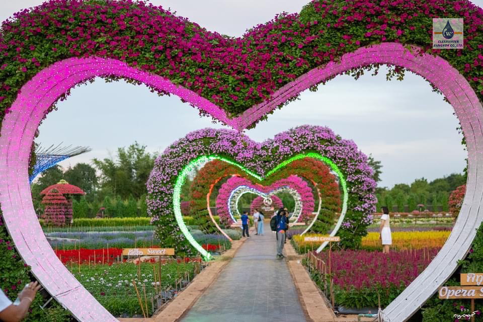 Dosatron รุ่น D20GL2 ที่สวนเมเปิ้ล