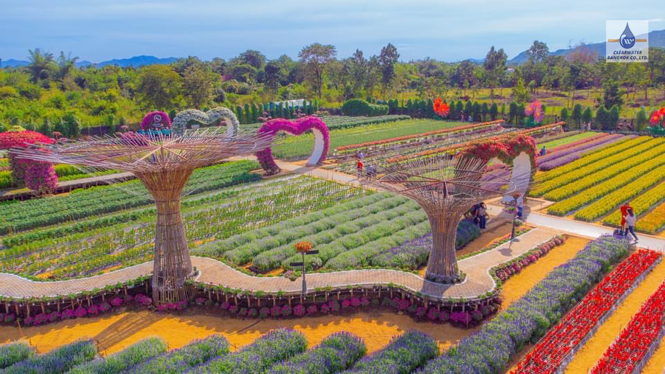 Dosatron รุ่น D20GL2 ที่สวนเมเปิ้ล