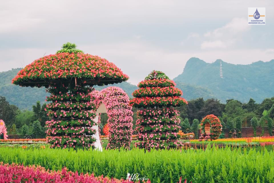 Dosatron รุ่น D20GL2 ที่สวนเมเปิ้ล