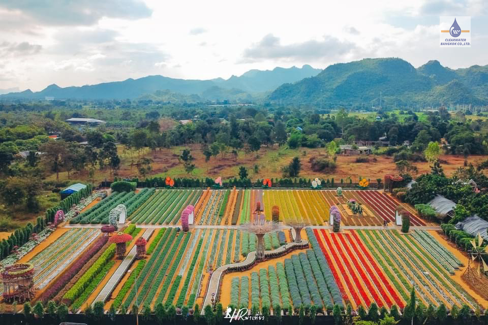 Dosatron รุ่น D20GL2 ที่สวนเมเปิ้ล