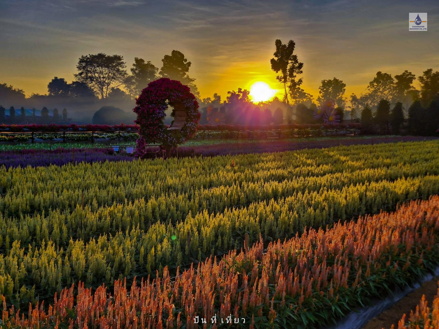 Dosatron รุ่น D20GL2 ที่สวนเมเปิ้ล