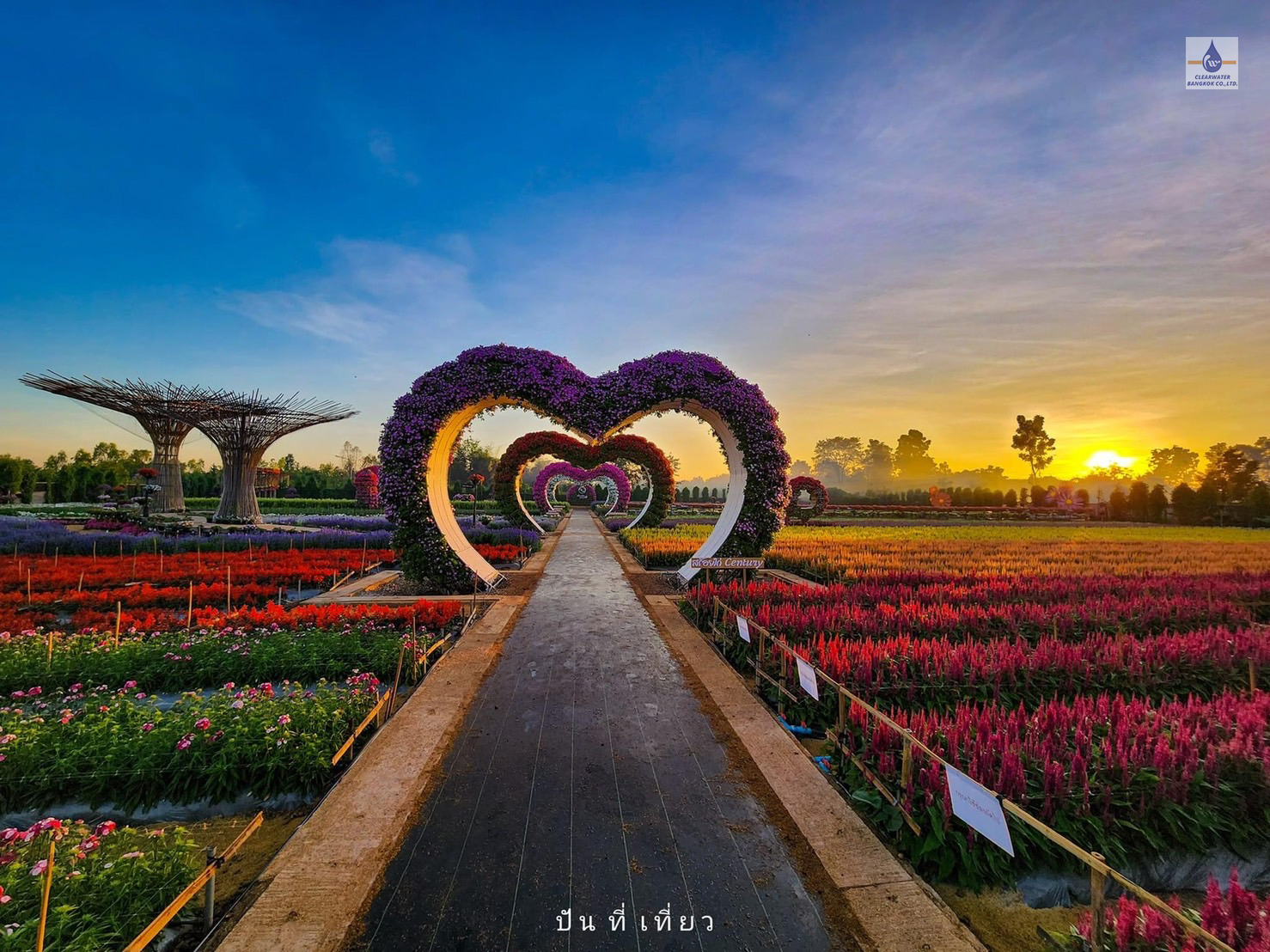 Dosatron รุ่น D20GL2 ที่สวนเมเปิ้ล