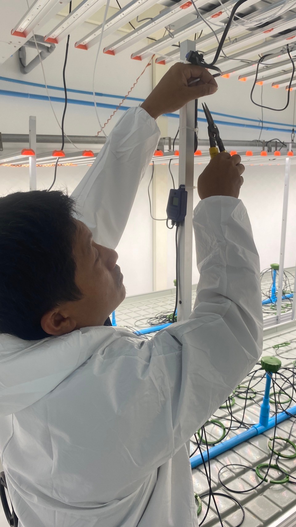 Installing systems for Green Line production