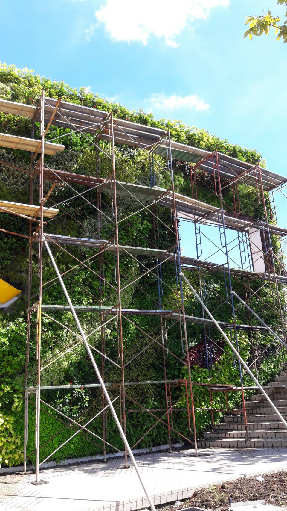 Vertical garden