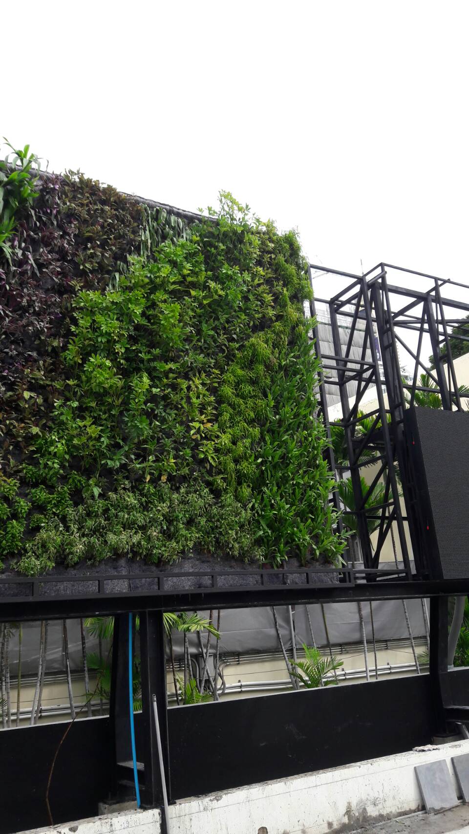 Vertical garden