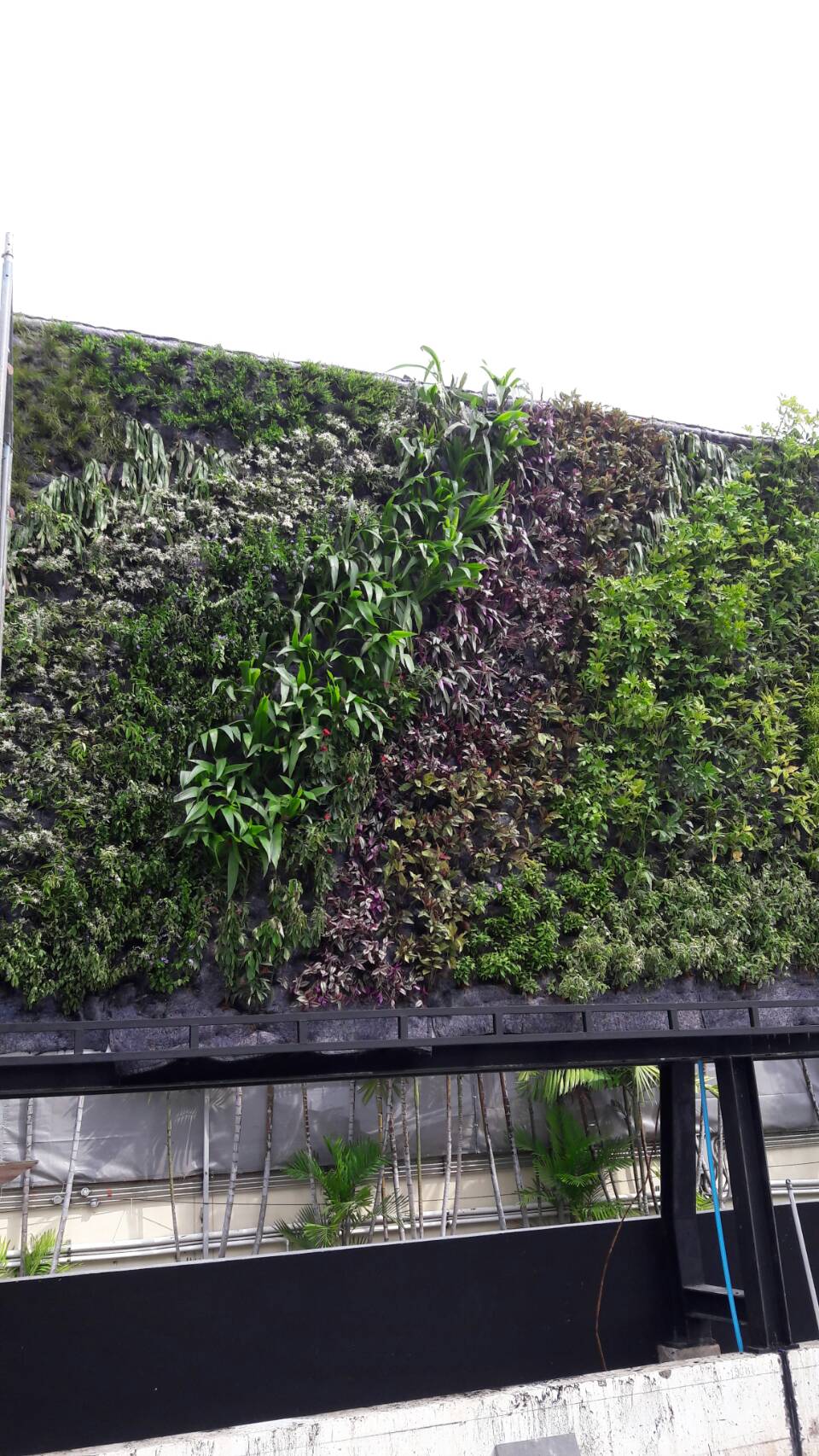 Vertical garden
