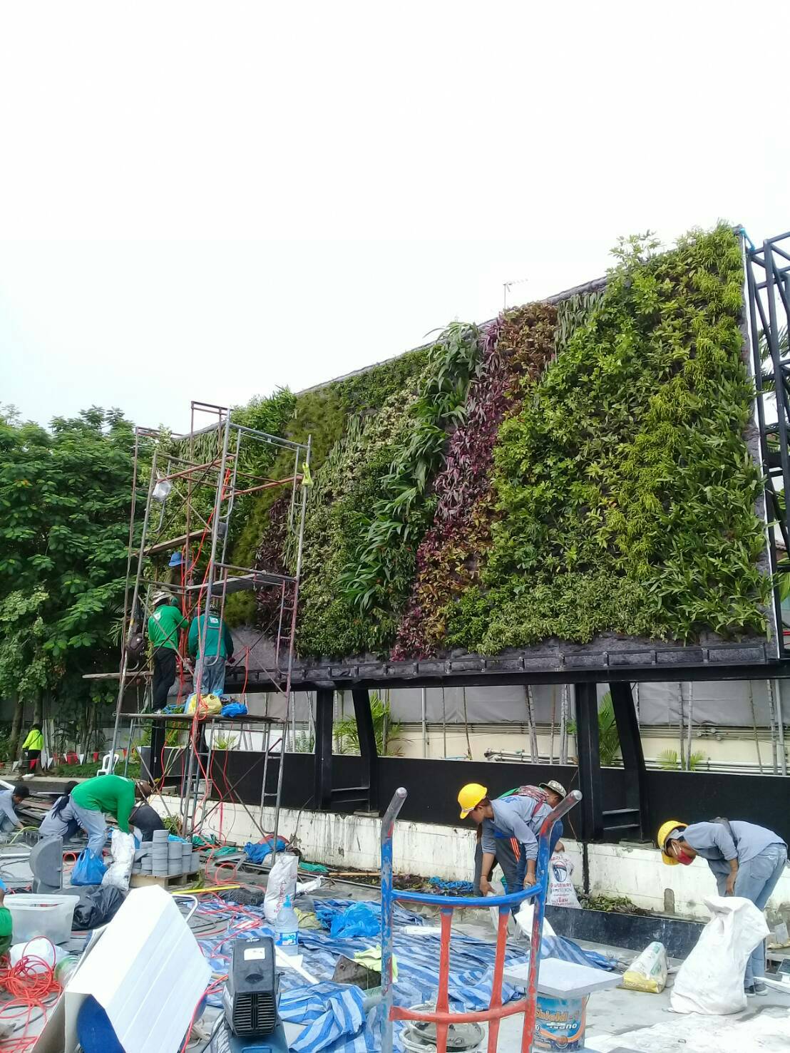 Vertical garden