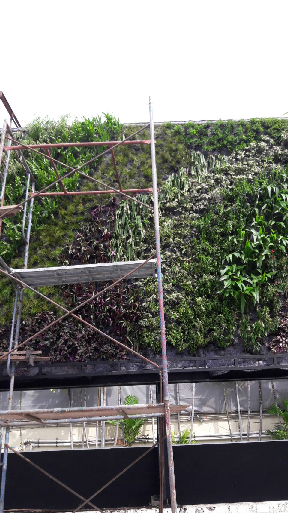 Vertical garden