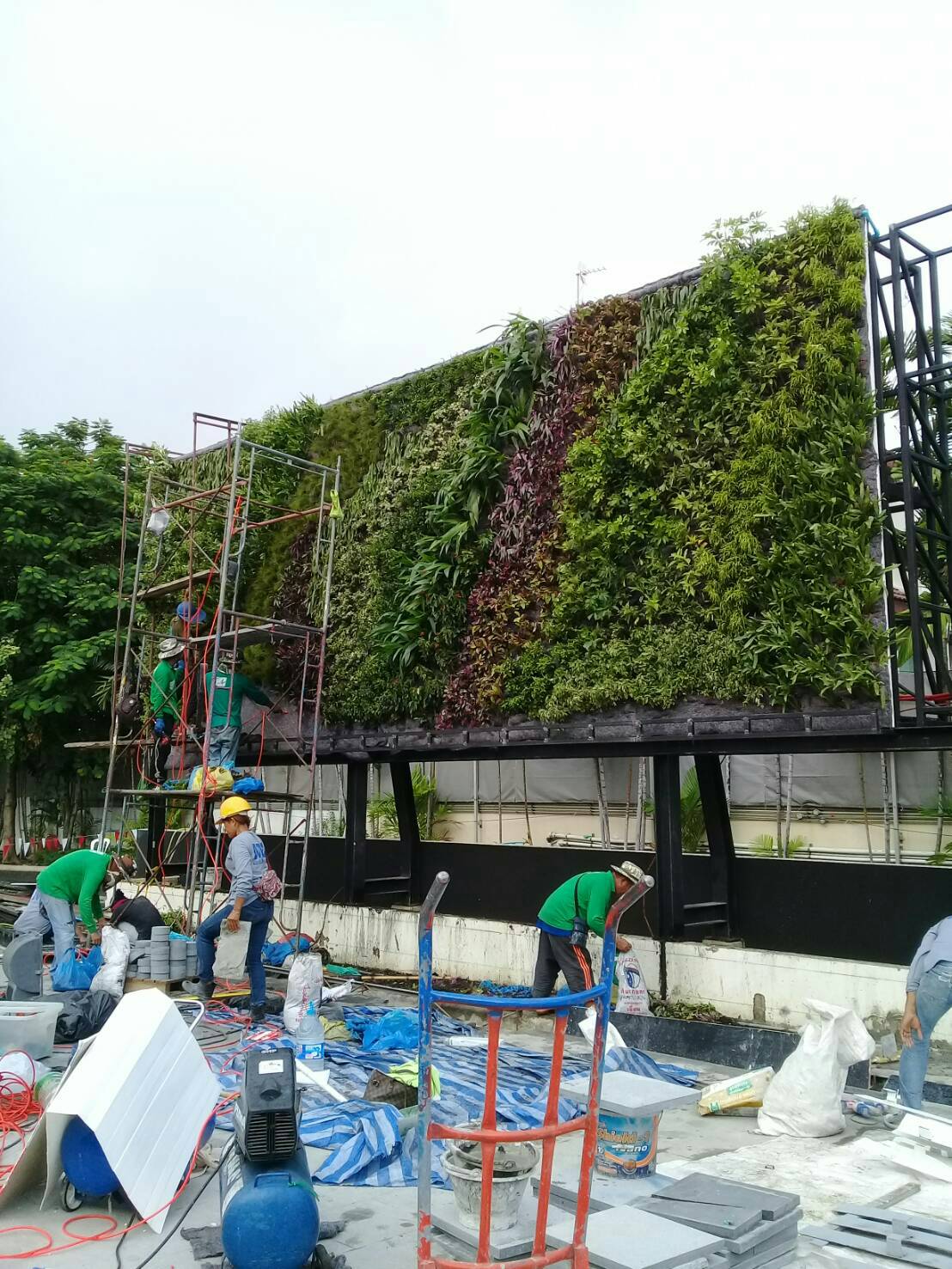 Vertical garden