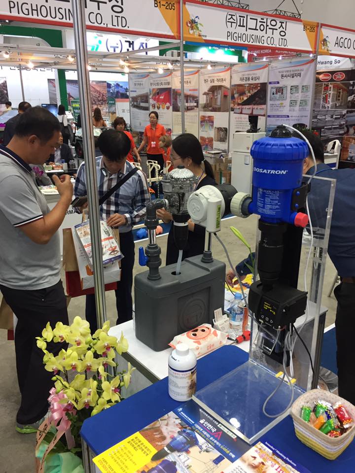 Clearwater Bangkok at KI Stock Exhibition in Daegu in Korea.