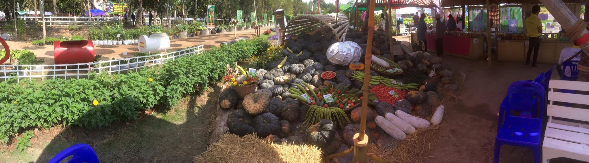 HAPPY AGRICULTURE 2016