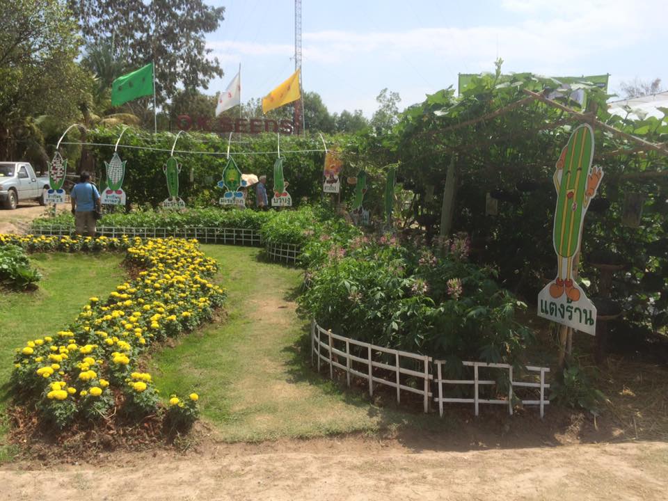 HAPPY AGRICULTURE 2016