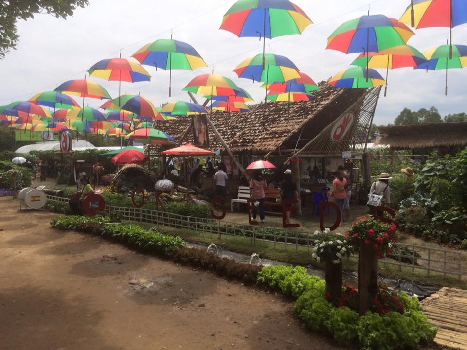 HAPPY AGRICULTURE 2016