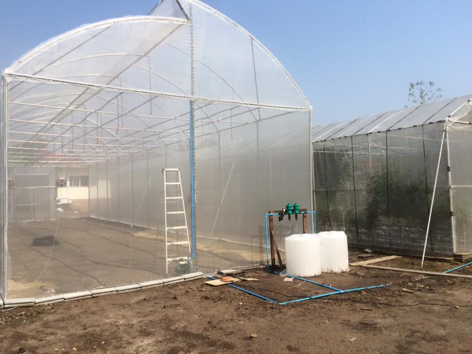 Dosatron GreenHouse