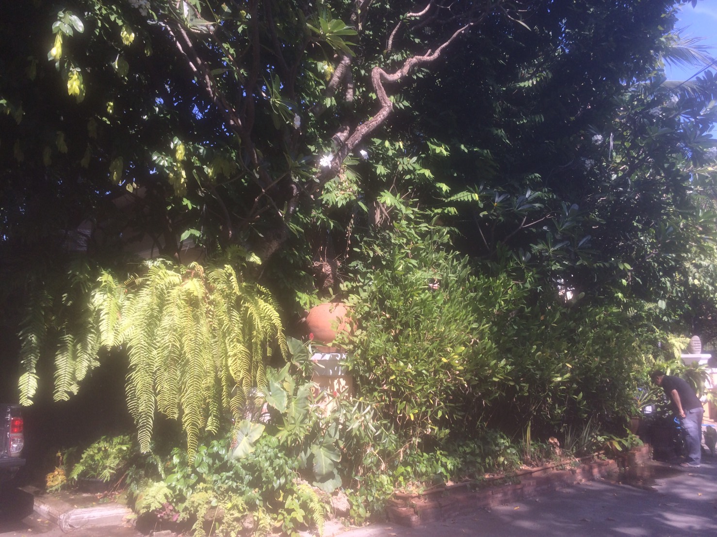 Landscap