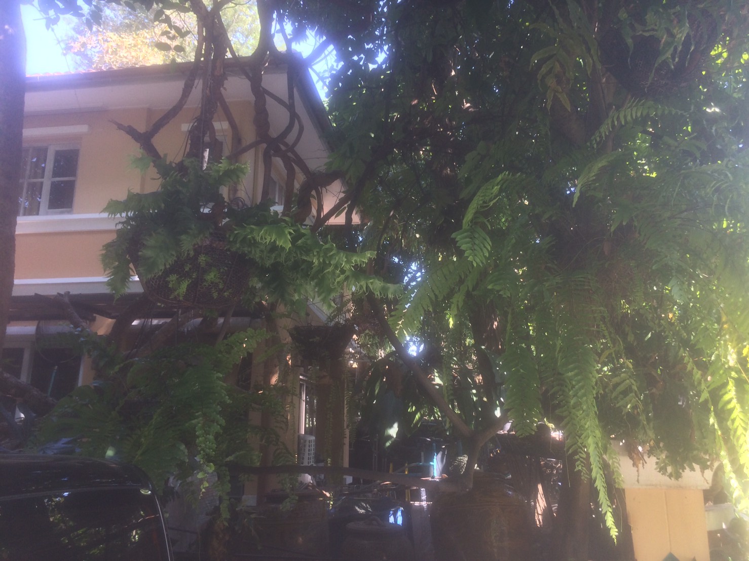 Landscap