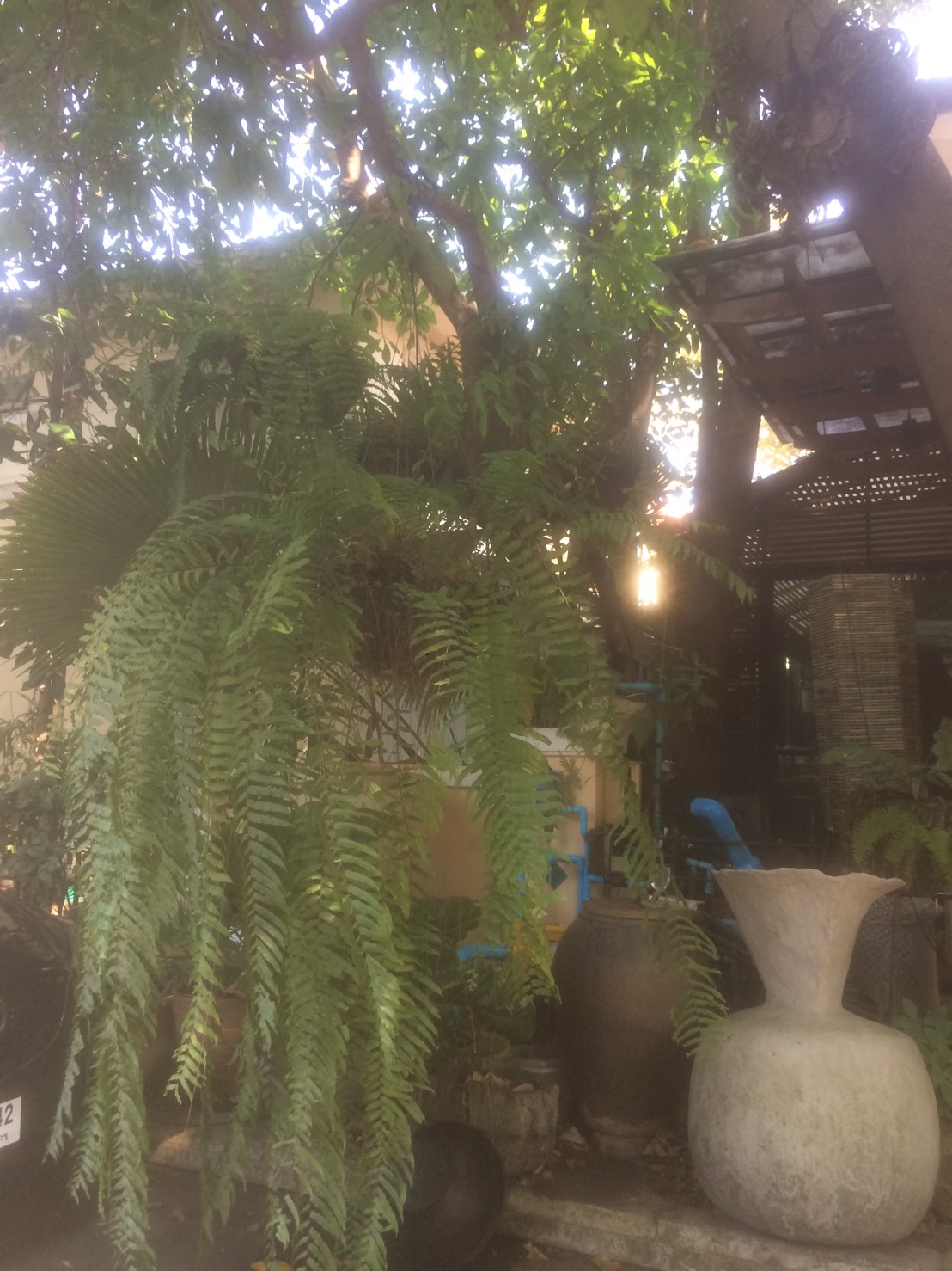 Landscap