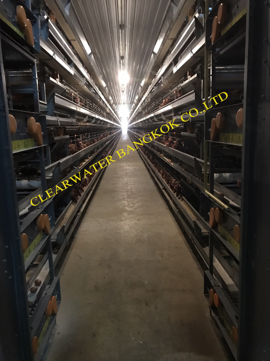 DIA4RE FOR LIVE STOCK